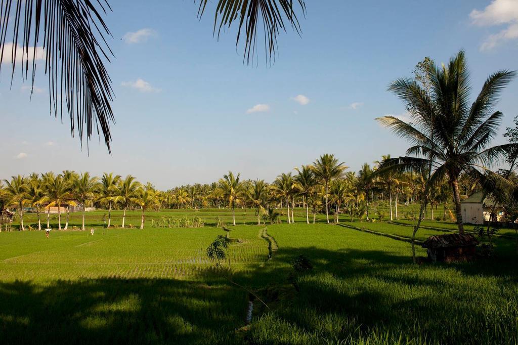 Puri Bebengan Bungalows Убуд Экстерьер фото